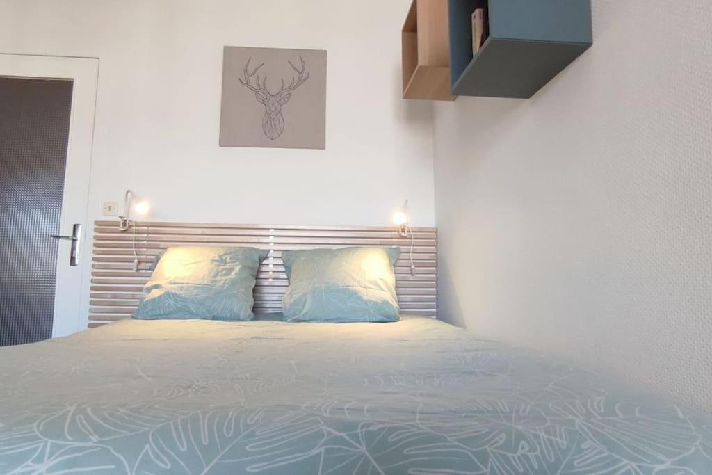 Le Septieme Ciel Clermont-Ferrand Cosy En Ville Dış mekan fotoğraf